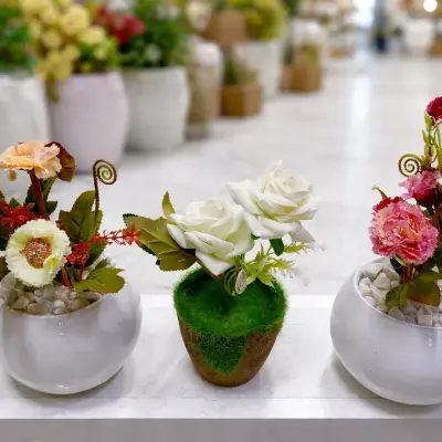 Ensemble de fleurs artificielles décoratives en pots élégants multicolores